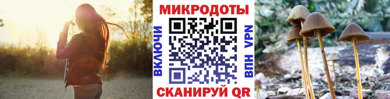 omg маркетплейс  Кемерово  Галлюциногенные грибы прущие грибы 